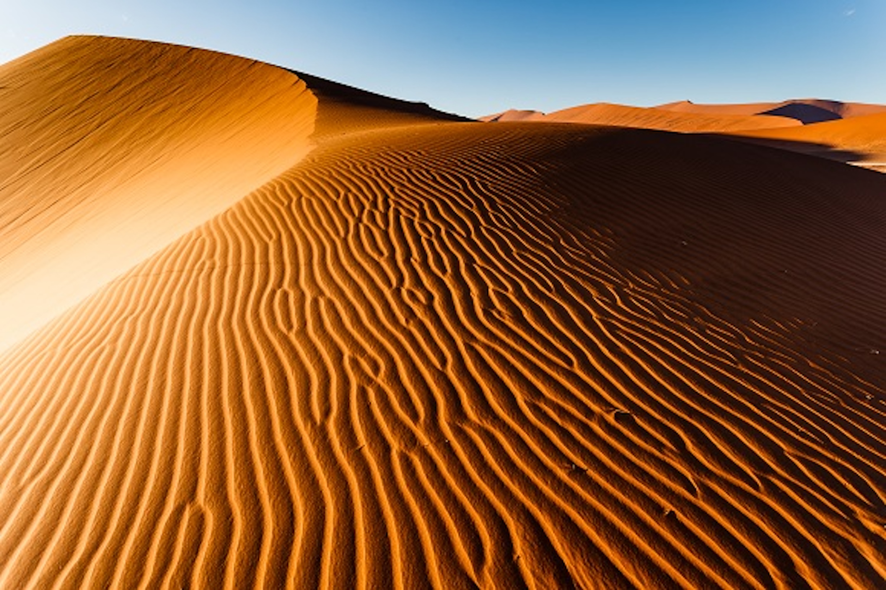 dune